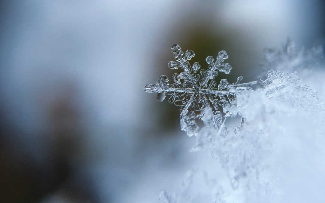 What You Need To Know For Winter House Hunting